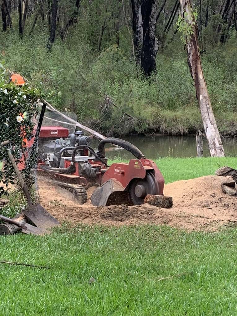 Tree Removal Stump Grinding: A Must for Every Property Owner