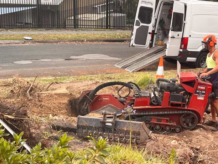 Emergency Tree Removal Service: Protect Your Property Today