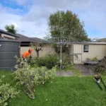 Climber trimming trees in backyard for professional tree removal services in Australia.