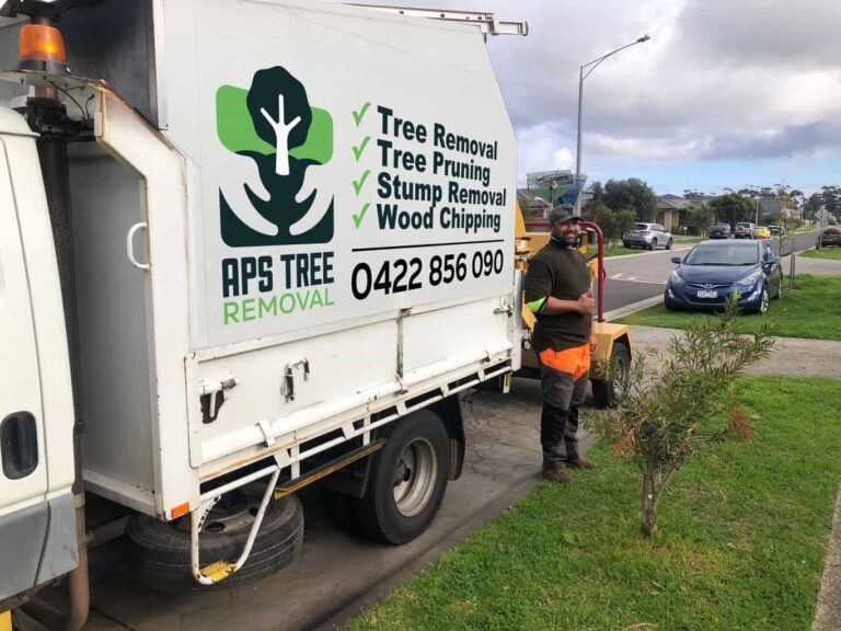 tree removal services near me