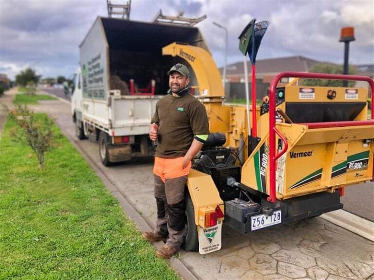 Avoid DIY Disasters with Professional Tree Removal Experts