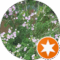 Shelley Lask Avatar